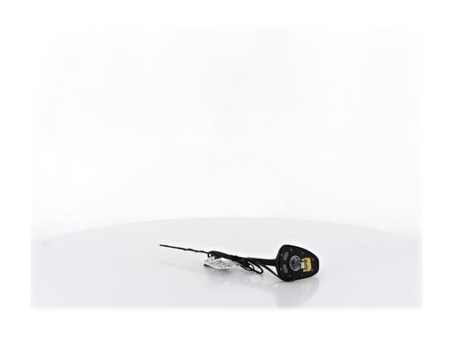 Used Antenna/Base Antenna/Base RENAULT SCÉNIC III (JZ0/1_) 1.6 dCi (JZ00, JZ12) (130 hp) 36428985 36428985