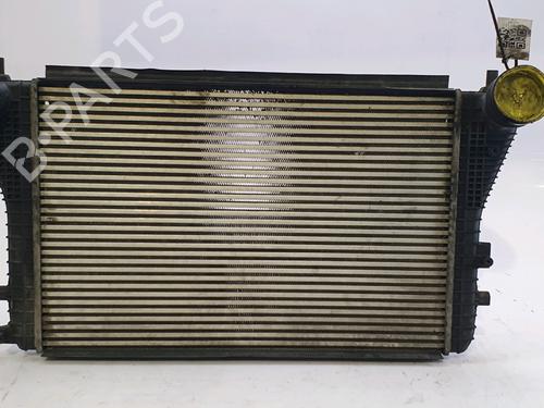Ladeluftkühler für VW GOLF PLUS V (5M1, 521) [2004-2013]  28161017