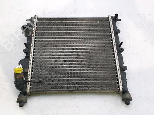 Used Water radiator RENAULT CLIO II (BB_, CB_) 1.2 (BB0A, BB0F, BB10, BB1K, BB28, BB2D, BB2H, CB0A,... (58 hp) 29198637