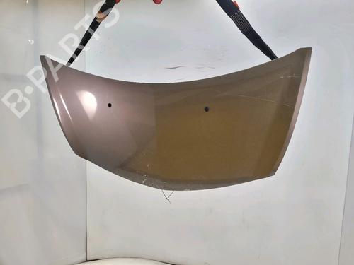 Used Hood RENAULT CLIO III (BR0/1, CR0/1) [2005-2014]  25622576