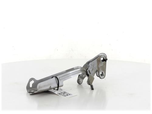 Hinge/Door check strap CITROËN XSARA PICASSO (N68) 1.6 HDi | BP27907682C146 