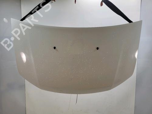 hood-dacia-sandero-ii-2012-32202301 main image