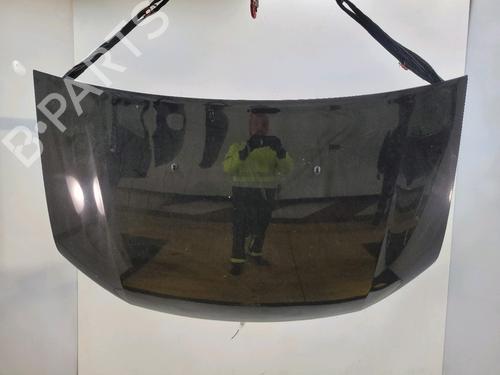 Panser DACIA SANDERO II [2012-2026]  31822013