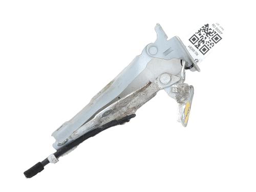 hingedoor-check-strap-citroen-c3-ii-sc_-2009-32152900 main image