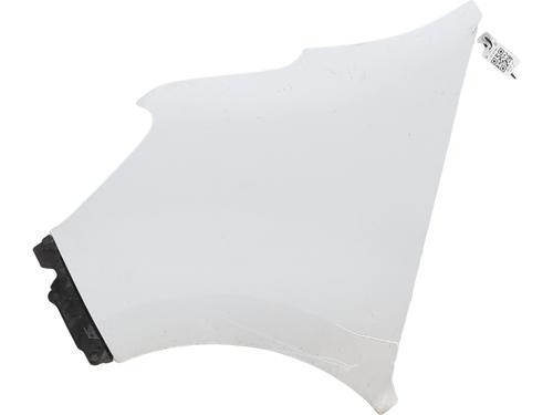 Used Left front fenders RENAULT MASTER III Van (FV) 2.3 dCi 135 FWD (FV0N, FV08, FV06, FV00, FV1S) (136 hp) 31122156