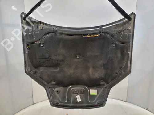 Hood RENAULT LAGUNA III Grandtour (KT0/1) 2.0 dCi (KT07, KT0J, KT14, KT1A, KT1S) | BP29389702C1 
