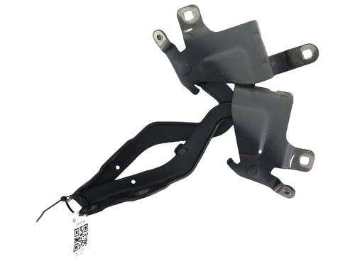 Hinge/Door check strap RENAULT CLIO IV (BH_) 0.9 TCe 90 (BHNF, BHMA, BHMH, BHJK, BHJR) | BP31349717C146 