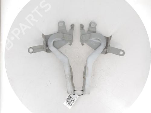 Hinge/Door check strap RENAULT CLIO IV (BH_) 1.5 dCi 90 | BP27908884C146 