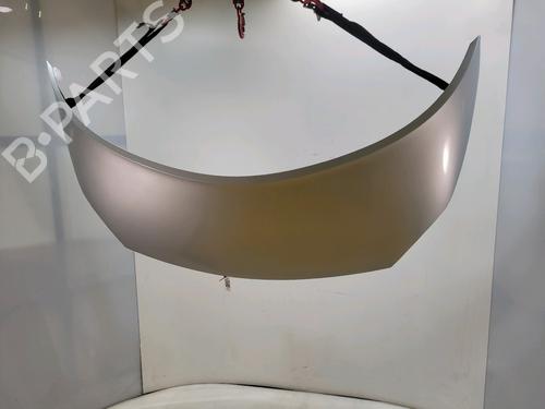 hood-renault-scenic-ii-jm01_-2003-2004-2005-2006-2007-2008-2009-2010-30632774 main image