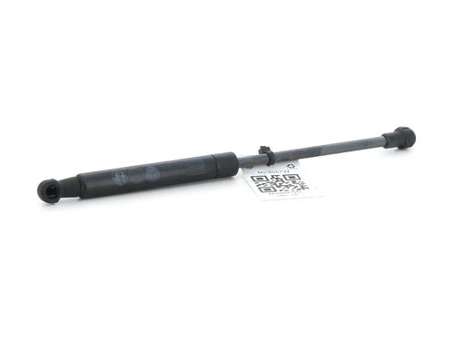 Tailgate lift support FIAT 500 (312_) 0.9 (312AXG1A, 312.AXG11) | BP27906636C138