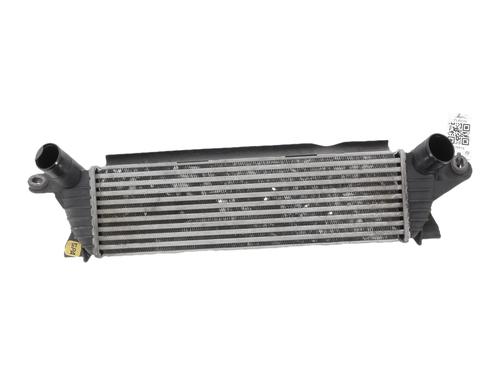 Used Intercooler Intercooler RENAULT KANGOO (KC0/1_) 1.9 dCi 4x4 (84 hp) 40071189 40071189
