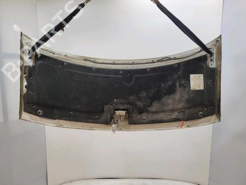 Hood FIAT SCUDO Van (220_) 1.9 D | BP30190794C1