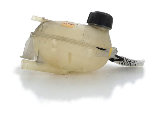 Expansion tank DACIA DOKKER MPV (KE_) 1.5 dCi (KEAJ, KEAH) | BP24324467C120 