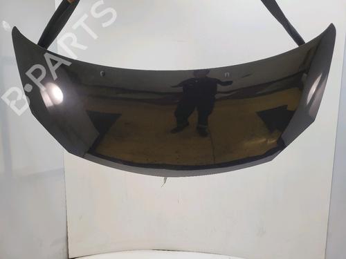 hood-renault-twingo-ii-cn0_-2007-39899283 main image