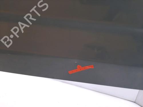 Tailgate FORD TRANSIT CONNECT (P65_, P70_, P80_) 1.8 TDCi | BP17194857C6 