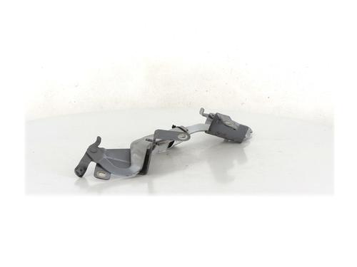 Hinge/Door check strap RENAULT CLIO IV (BH_)  | BP27910149C146 
