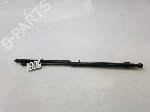 Used Tailgate lift support FORD FOCUS III 1.6 TDCi (115 hp) 27916854