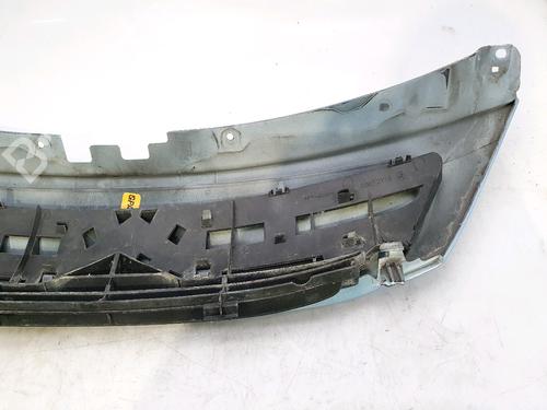 Grille CITROËN C3 I (FC_, FN_) 1.4 HDi | BP28835974C40 