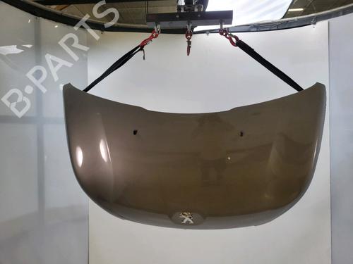 Used Hood Hood 37191824 37191824