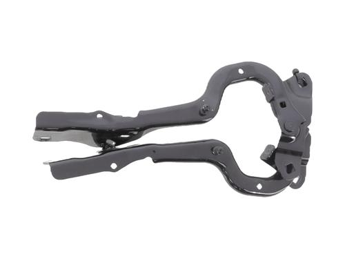 Used Hinge/Door check strap Hinge/Door check strap RENAULT SCÉNIC IV (J9_) 1.6 dCi 160 (160 hp) 33309809 33309809