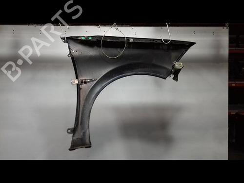 Left front fenders RENAULT MEGANE II Saloon (LM0/1_) 1.6 16V (LM1R, LM0C) | BP23195216C41 