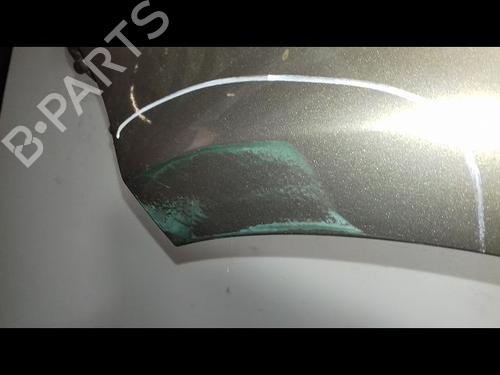 Left front fenders RENAULT CLIO III (BR0/1, CR0/1) 1.5 dCi (C/BR0G, C/BR1G) | BP15378367C41 