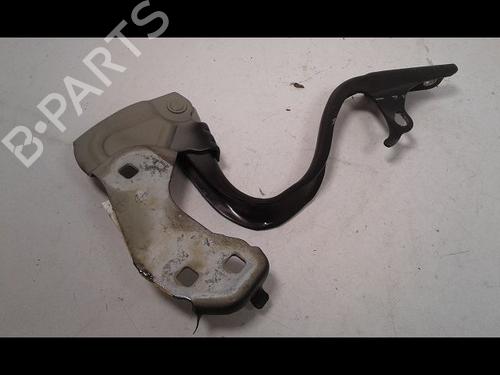 Hinge/Door check strap FIAT 500 (312_) 1.2 (312AXA1A) | BP14887602C146