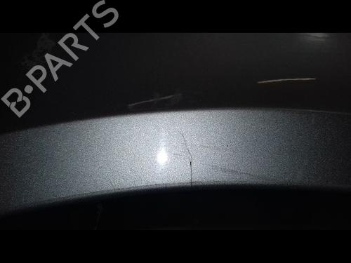Left front fenders RENAULT LAGUNA II (BG0/1_) 1.9 dCi | BP19578097C41 