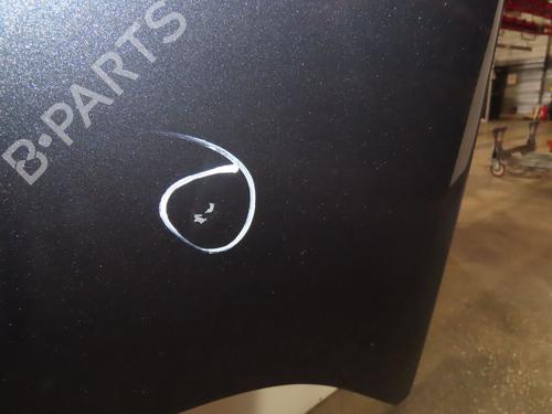 Hood RENAULT MEGANE III Hatchback (BZ0/1_, B3_) 1.5 dCi (BZ09, BZ0D, BZ1W, BZ29, BZ14) | BP17469683C1 