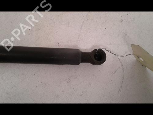 Hood lift support RENAULT KANGOO / GRAND KANGOO II (KW0/1_) 1.5 dCi 90 (KW05, KW08, KW0G, KW11) | BP15200318C139 