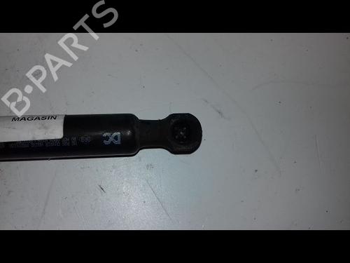 Pansergassdemper RENAULT KANGOO Express (FW0/1_) 1.5 dCi 75 (FW07, FW10, FW04) (75 hp) 23195298