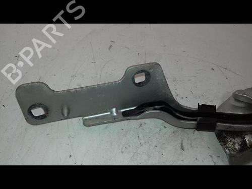 Hinge/Door check strap RENAULT CLIO III (BR0/1, CR0/1) 1.5 dCi | BP18837405C146 