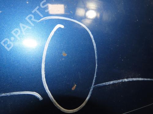 Hood VW POLO IV (9N_, 9A_) 1.4 TDI | BP18017970C1 