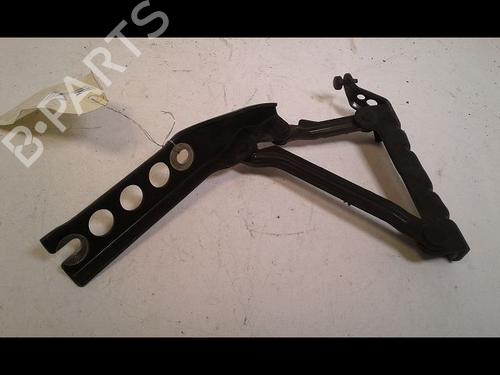 Hinge/Door check strap SKODA ROOMSTER (5J7) 1.9 TDI | BP29224779C146 