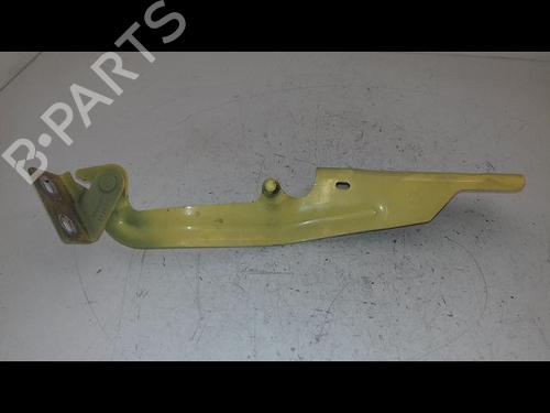 Hinge/Door check strap RENAULT KANGOO Express (FW0/1_) 1.5 dCi 75 (FW07, FW10, FW04) | BP29468755C146 
