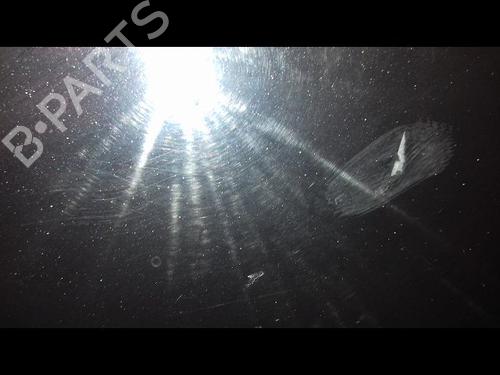Right front door KIA RIO II (JB) 1.5 CRDi | BP16973151C3 
