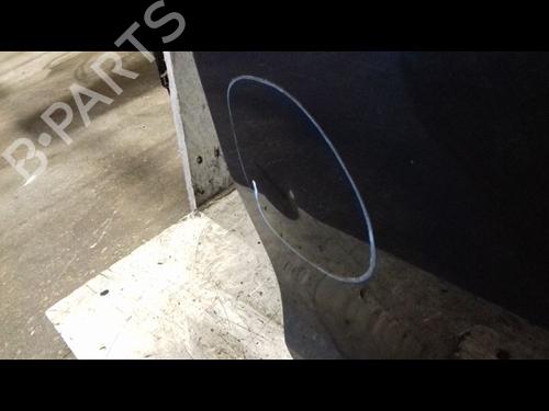 Left rear door DACIA SANDERO II TCe 90 (B8M1, B8MA, B8AC) | BP29319252C4 