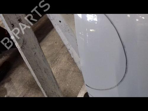 Left front door DACIA DUSTER (HS_) 1.6 16V Hi-Flex | BP29319245C2 