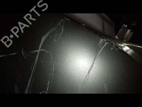 Front bumper RENAULT CLIO III (BR0/1, CR0/1) 1.5 dCi (C/BR0G, C/BR1G) | BP31275861C7 