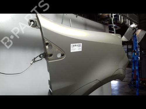 Right front fenders RENAULT CLIO III (BR0/1, CR0/1) 1.5 dCi (BR1C, CR1C) | BP12528994C42 