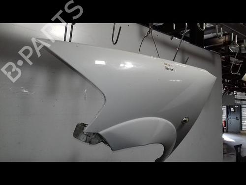 Left front fenders CITROËN C3 I (FC_, FN_) 1.4 HDi | BP19337792C41 