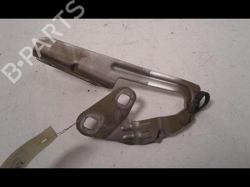 Hinge/Door check strap CITROËN XSARA PICASSO (N68) 1.6 16V | BP14887617C146 