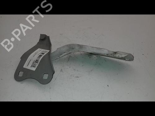 Hinge/Door check strap RENAULT TWINGO II (CN0_) 1.5 dCi 75 | BP18543512C146