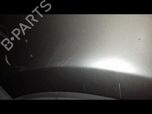Left front fenders RENAULT CLIO III (BR0/1, CR0/1) 1.5 dCi (BR17, CR17) | BP19319709C41 