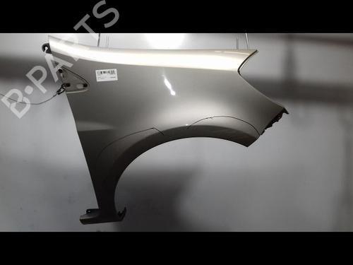 Right front fenders RENAULT CLIO III (BR0/1, CR0/1) 1.5 dCi (BR1C, CR1C) | BP12528994C42 