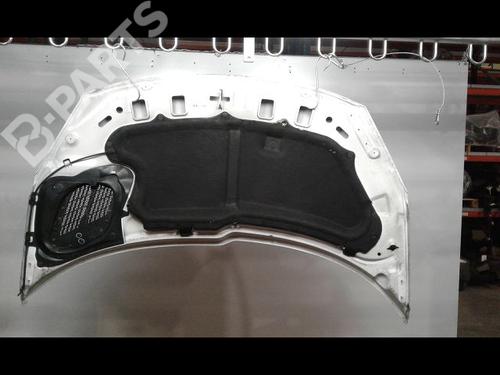 Used Hood PEUGEOT 206+ (2L_, 2M_) 1.4 HDi eco 70 (68 hp) 8972867
