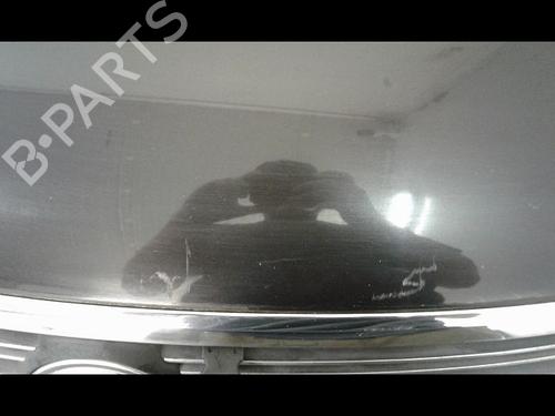Capot VW PHAETON (3D1, 3D2, 3D3, 3D4, 3D6, 3D7, 3D8, 3D9) 3.0 V6 TDI 4motion | BP23195239C1 