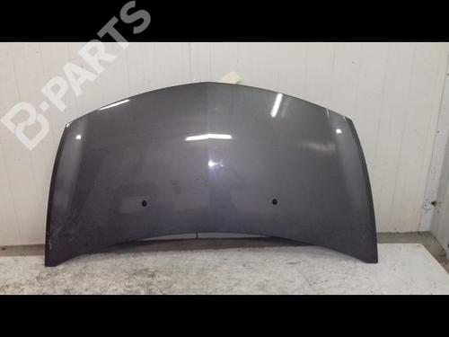 Used Hood RENAULT CLIO III (BR0/1, CR0/1) 1.5 dCi (C/BR0G, C/BR1G) (68 hp) 8963372
