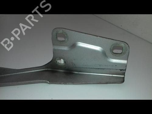 Hinge/Door check strap RENAULT MEGANE III Hatchback (BZ0/1_, B3_) 1.5 dCi (BZ0C) | BP19479790C146 