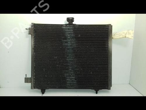 Used Heater matrix PEUGEOT 207 (WA_, WC_) 1.4 16V (95 hp) 21800039